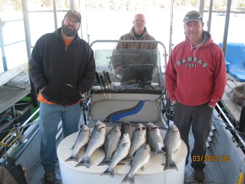 Nice Striped Bass